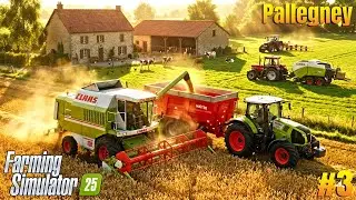 Wheat Harvest & Hay Making: No Time to Waste! │FS25│Pallegney Map│Timelapse #3