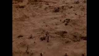 [untitled] 2