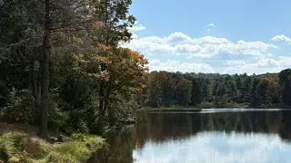 The Sound of Nature: A Calming Stroll Through Parker Dam State Park