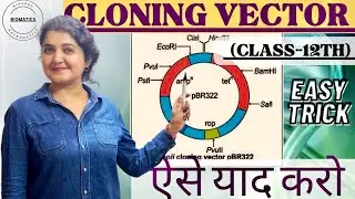 BIOTECHNOLOGY||CLONING VECTOR|| Learn It only 1 Min🤩)|| Biomatics