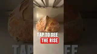 Satisfying Oven Timelapse