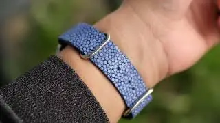 Blue stingray leather Nato strap!