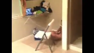 Best vines 