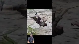 Emergency Rescue || Man Crosses Flooded Area with Rope Assistance #shortsfeed #flooding #youtuber