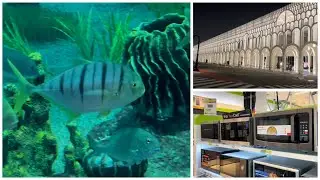 Aquarium at City Gallery Old Doha Port | Grand Cruise Terminal | Shopping at LuLu Hyper Market
