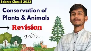 REVISION 🌲 | Conservation Of Plants And Animals For Class 8