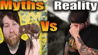 Reptile Breeding Myths Vs Reality
