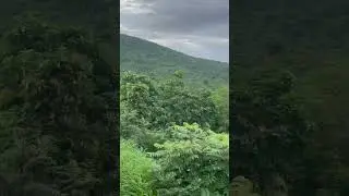 Western Ghats are beautiful #hillsstation #nature #travel #hillsarea