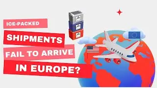 Reliable Cold Chain Shipping to Europe