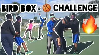 BIRD BOX BASKETBALL CHALLENGE! (BLINDFOLDED)