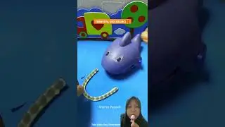 TERNYATA GIGI KELINCI⁉️ #toys #funny #humorvibes #comedy #rabbit #cute #defakim #shorts
