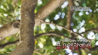 [CKPC] 9/5 금요영광예배 실시간방송