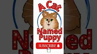 Кот по имени Щенок &mdash; переход через шаткий мост 🐾