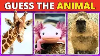How Well Do You Know Animals?  Guess The Animal Quiz | EASY to IMPOSSIBLE | Quiz General Knowledge