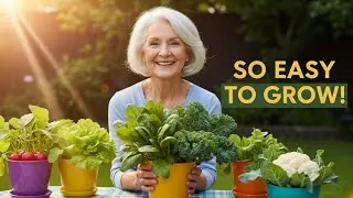 Top 10 Easiest Vegetables to Grow This Fall and Winter Perfect for Beginners & Seniors!