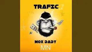 Trafic (Extended Version)