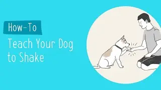Teach Your Dog to Shake | Pet Parenting 101