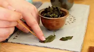 San Francisco's Song Tea & Ceramics