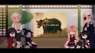 Hashira react to Muichiro as Adrienne lenker part 1 //