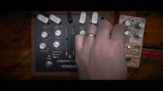 Digitech Obscura into Vongon Polyphrase - double stereo delays