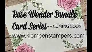 Rose Wonder Sneak Peak