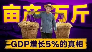 GDP增长5%的真相：习近平的亩产万斤，有多离谱？