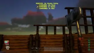 Ark : Day 12 Building and trying to figure out about eggs and babies