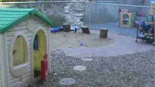 Nature Explore Playground