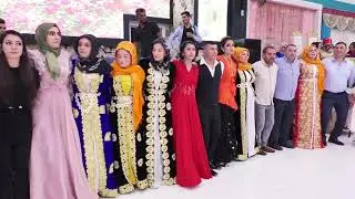 cerabi ilik ailesi
