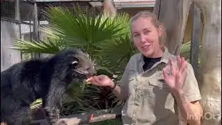 Hunter Valley Zoo REOPENING Monday 11 October 2021