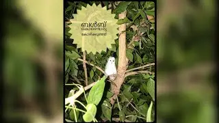 baby chick making with bulb|chick making |fuse bulb craft idea easy|waste material craft idea