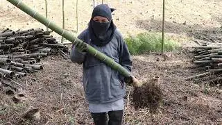 生きた竹の伐根成功！法面に残る枯れた竹株も蹴って押してもぎ取るよ｜少しづつ何もないエリアが広がっていく