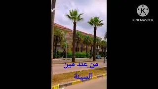 ÷÷÷÷÷ تشابه حيرنا وكتير سألوا فيه لكن  تعالوا نحسم الأمر