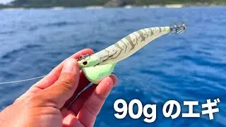 水深100mのでっかいイカ釣って食う