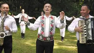 Lele Craciunescu -  Lipova  frumoasa