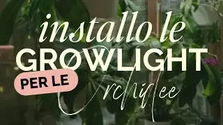 Installo le growlight Sansi per le orchidee