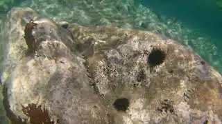 Underwater Meditation