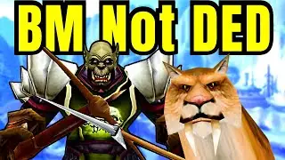 BM Hunter PVP Montage | WoW Classic SoD P4