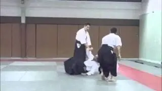 A&iuml;kido Kishinkai, Tamaki Issei niningake