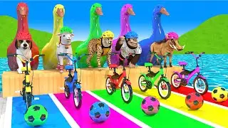 Long Slide Game With Cow Elephant Gorilla Hippopotamus Tiger 3d Animal Game Funny 3d Animals