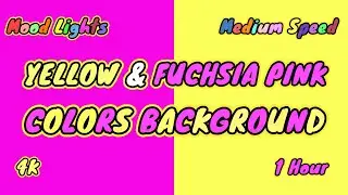 Fuchsia Pink Yellow Colors Background [Mood Lights- Medium Speed- 1 Hour].