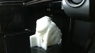Temporal Bone Left and Right - Human Skull - 3D Print Time lapse