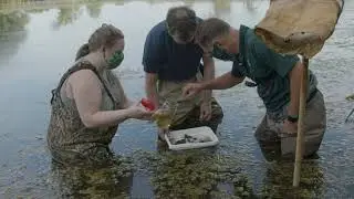 Fighting Infectious Diseases: Small Organisms, Epic Possibilities