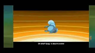 Pokemon Crazy Monster Mega Quagsire🌊