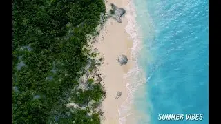 Chill Summer Vibes Tropical Vibe Chill Music