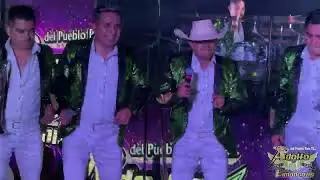 Mambo Pachuco Adolfo y sus Limoncitos,cover 2023