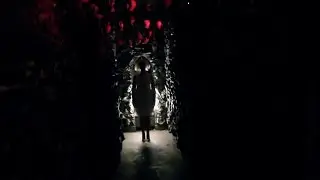 Fully Focused-Performance Version