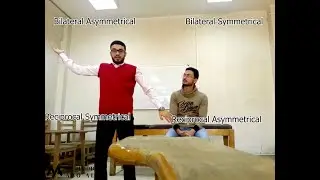 Combined PNF Patterns – Proprioceptive Neuromuscular Facilitation (PNF)