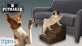 Puppy Reviews the Pet Steps for Small Dogs from Petmaker!