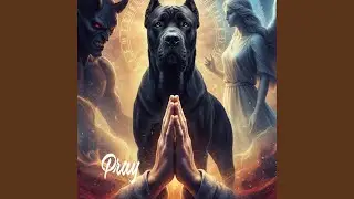 Pray